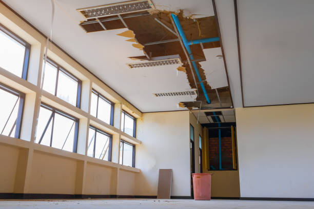 Best Carpet water damage restoration  in Hellertown, PA