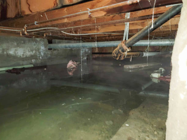 Best Ceiling water damage repair  in Hellertown, PA