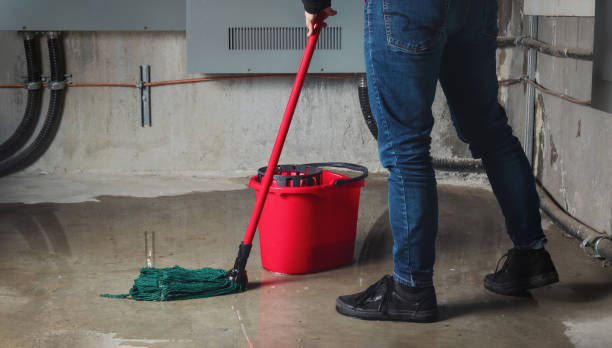 Best Professional water damage repair  in Hellertown, PA