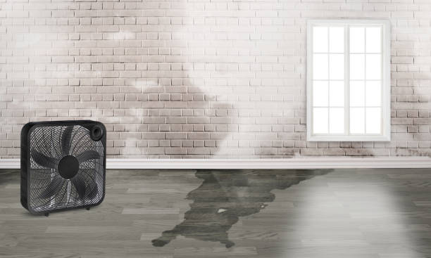 Best Ceiling water damage repair  in Hellertown, PA