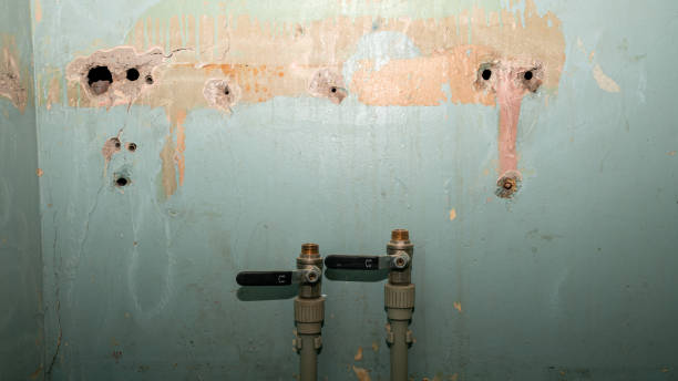 Best Water damage contractors near me  in Hellertown, PA