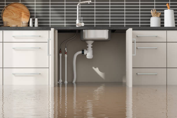 Best Flood damage cleanup  in Hellertown, PA